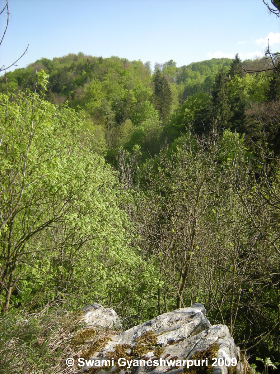 Výhled Hertodova poustevníka ze skalní terasy nad jeskyní Kostelík na Křtinské údolí.