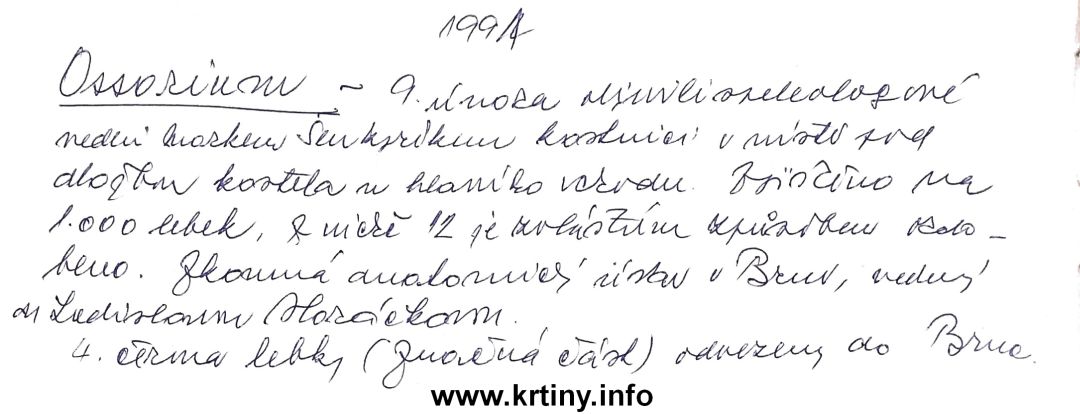Vlastnoruční zápis děkana P. Tomáše Prnky ve farní kronice o objevu krypty ossária s pomalovanými lebkami v orce 1991, kde zmiňuje jméno autora tohoto webu.